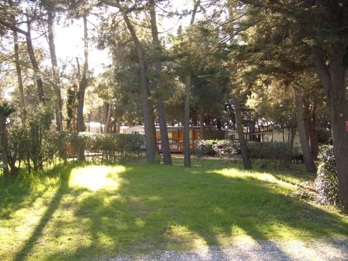 Camping Le Sainte Marie Kültér fotó