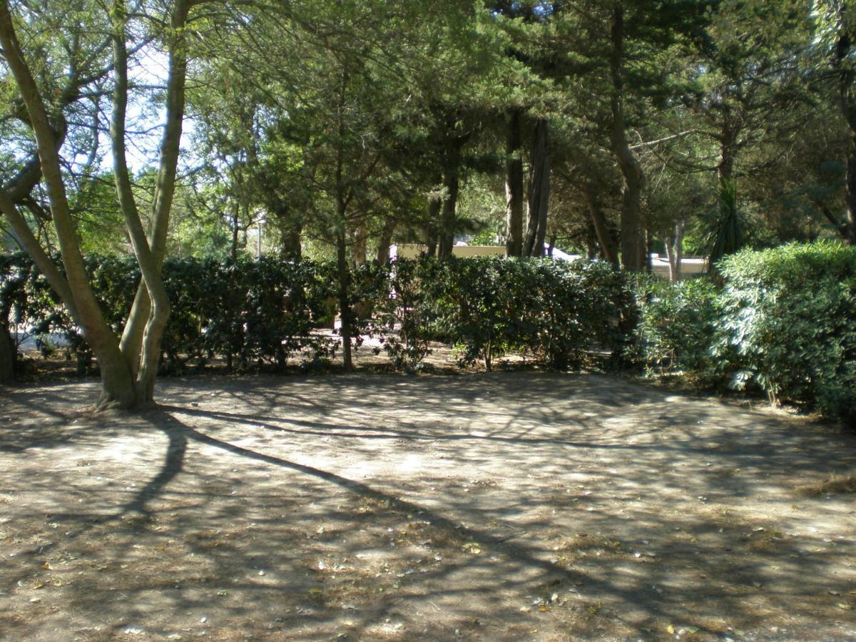 Camping Le Sainte Marie Kültér fotó
